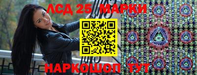 шишки Ставрополь