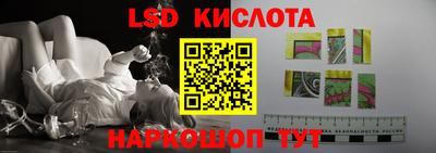 шишки Ставрополь