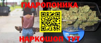 крисы Сланцы