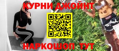 шишки Ставрополь