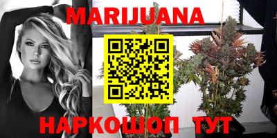 шишки Ставрополь