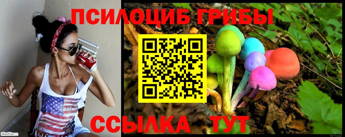 Псилоцибиновые грибы прущие грибы  Галлюциногенные грибы Psilocybine cubensis  Вход с VPN  Отрадное 