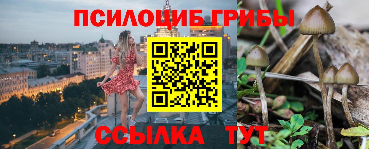 Галлюциногенные грибы MAGIC MUSHROOMS Отрадное