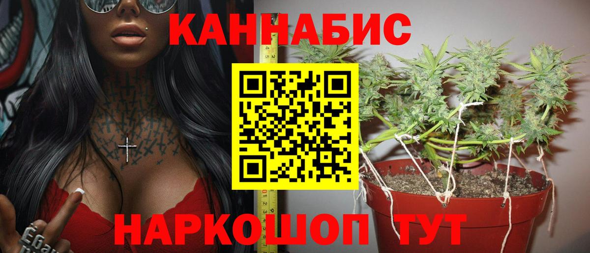 МАРИХУАНА гибрид  Бошки Шишки Bruce Banner  Марихуана Bruce Banner  Отрадное  Вход с VPN 